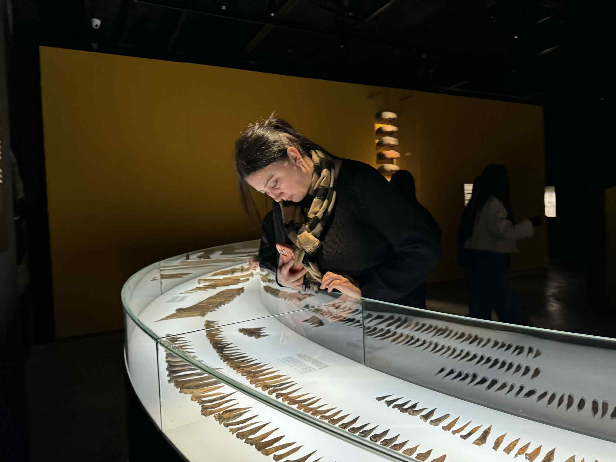 Visit of "Tea House" members to the Bolnisi Museum